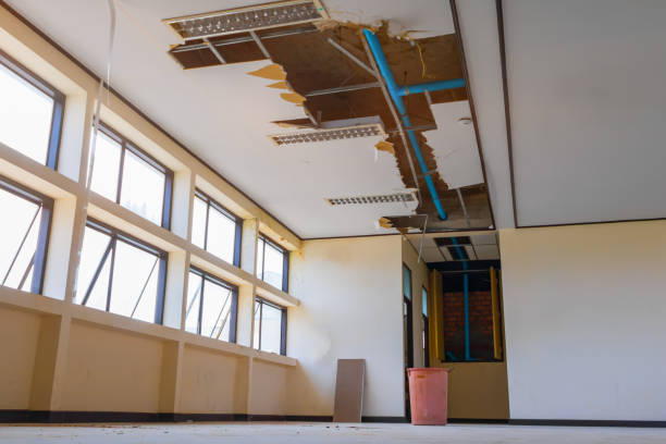Best Flood damage cleanup  in East Freehold, NJ
