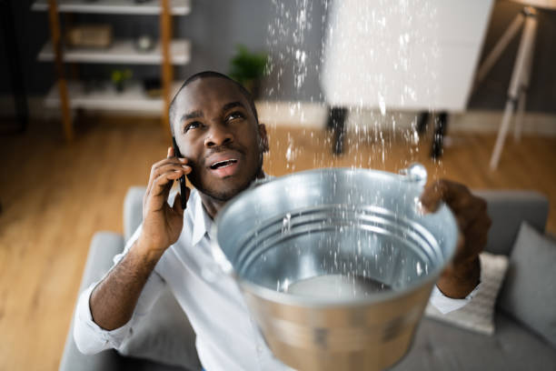 Best Professional water damage repair  in East Freehold, NJ