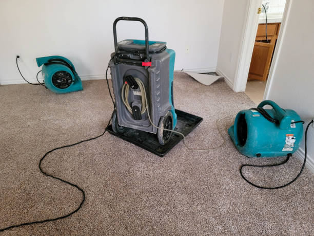 Best Local water damage restoration  in East Freehold, NJ