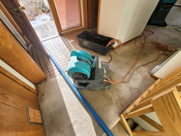 Best Water damage restoration mold remediation  in East Freehold, NJ