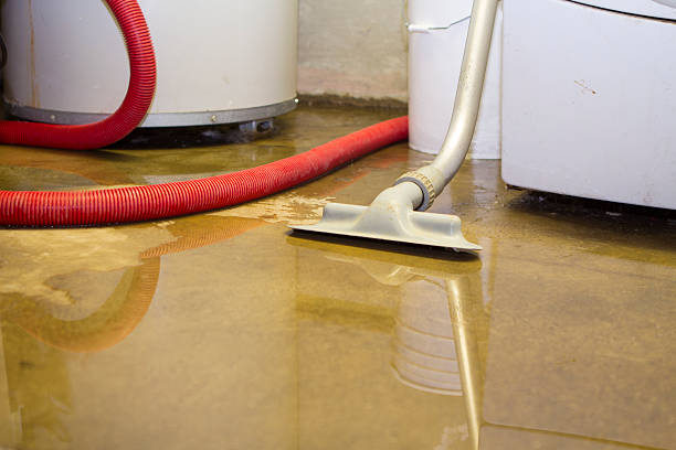 Best Sewage cleanup and water damage restoration  in East Freehold, NJ