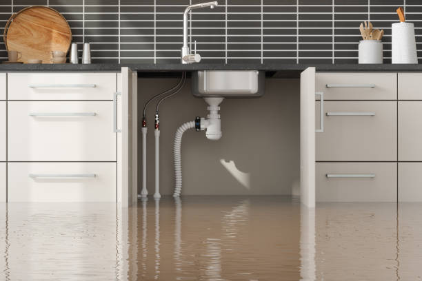Reliable East Freehold, NJ Water damage restoration Solutions