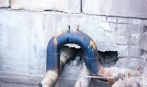 Best Water damage restoration specialists  in East Freehold, NJ